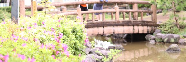 raito_camera Profile Banner