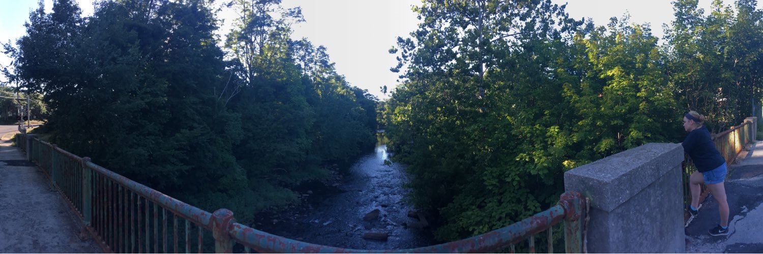 Bluntski's profile banner image