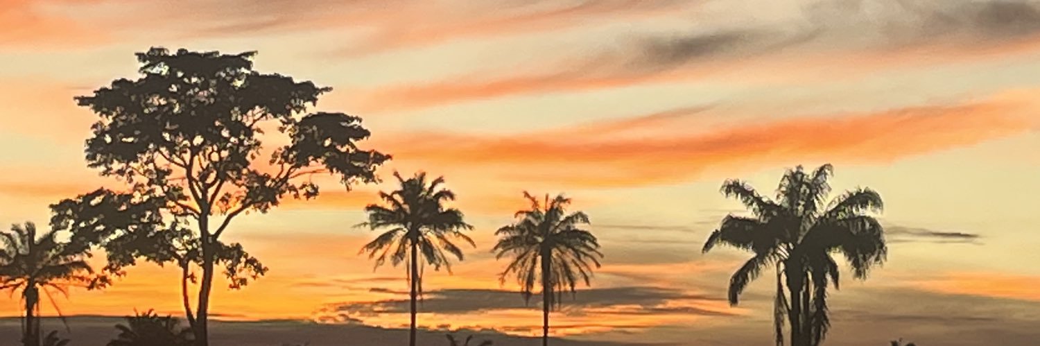 johnsonnwadee's profile banner image