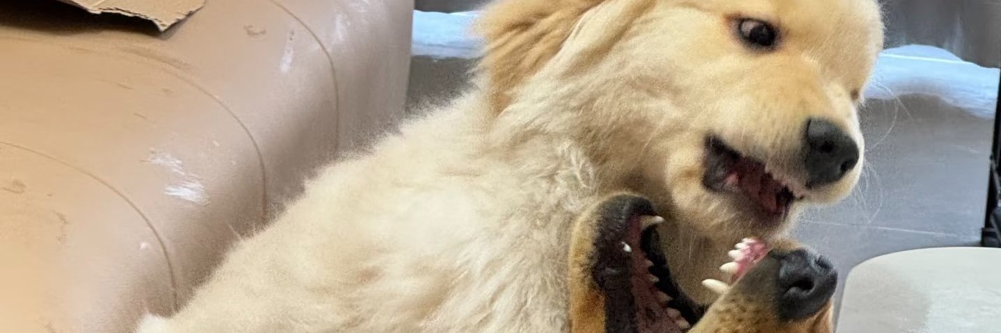 ᵃ banner
