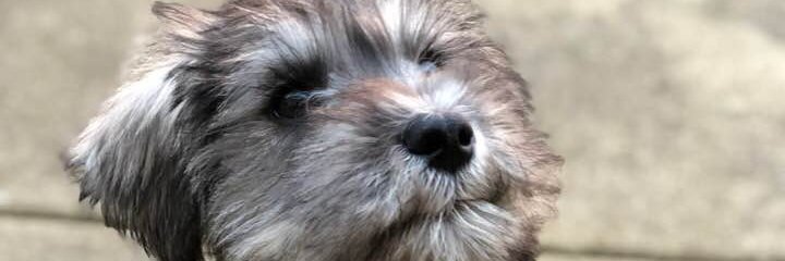 Sticko117's profile banner image