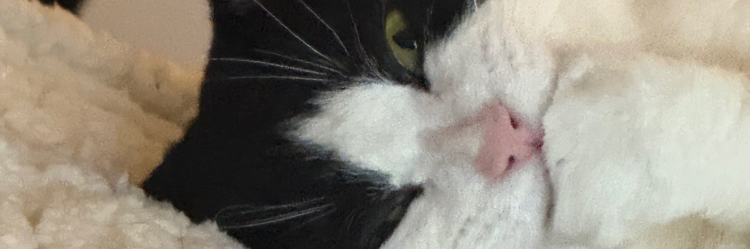 je1ani's profile banner image