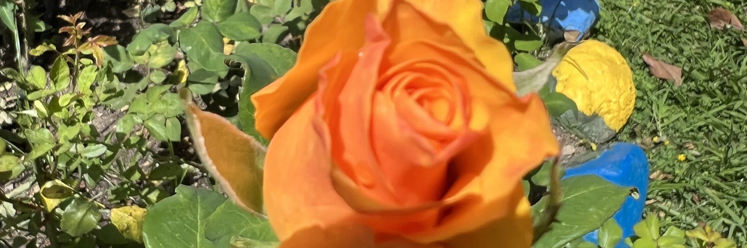 jimenezpilar's profile banner image
