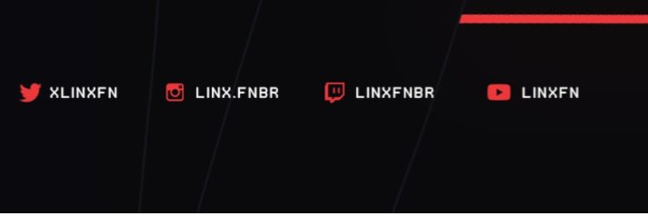 Linx banner