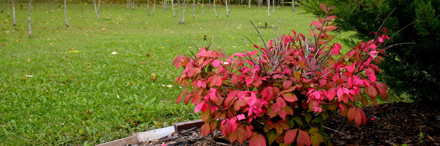 ewaldunruh's profile banner image