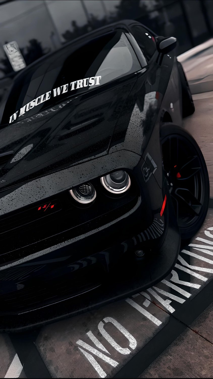 aceboogie31335's profile banner image