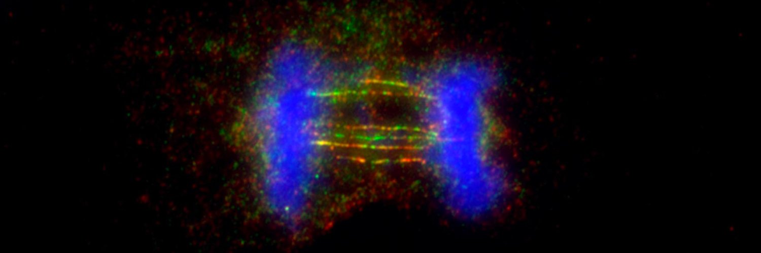 The West Lab's banner