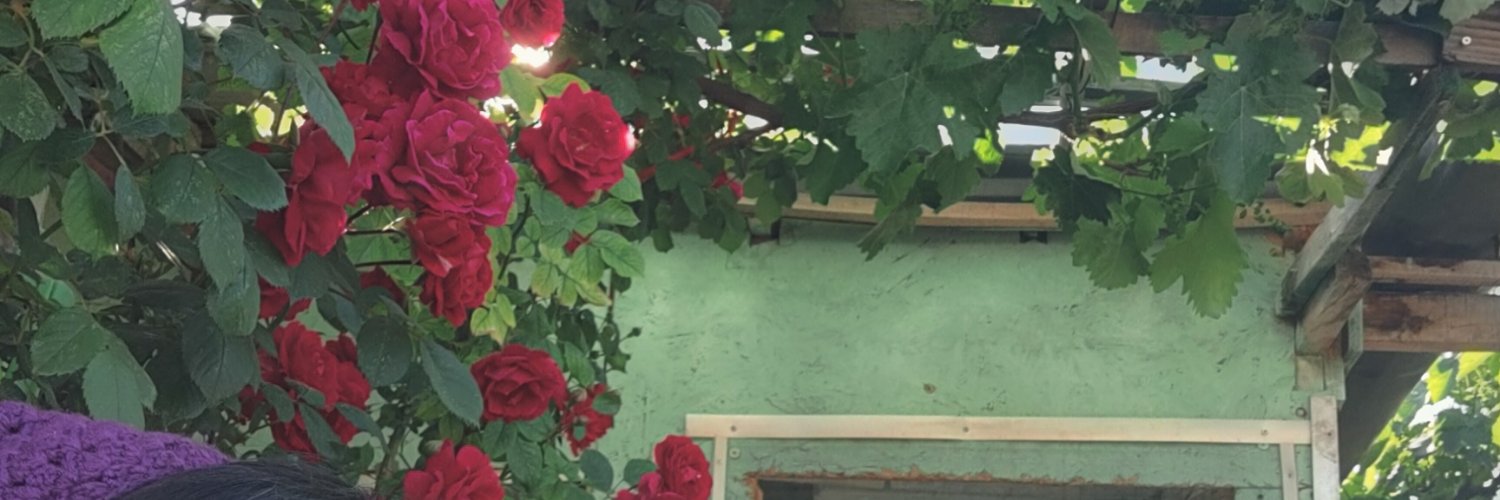 BsrBrnn's profile banner image