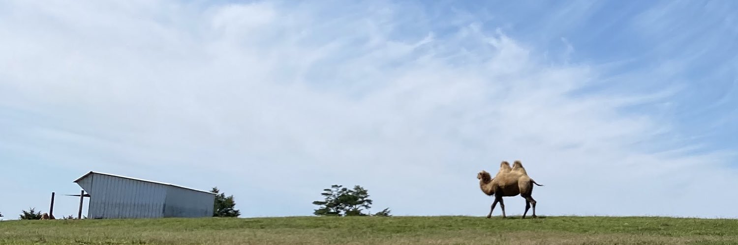 bpkelly's profile banner image