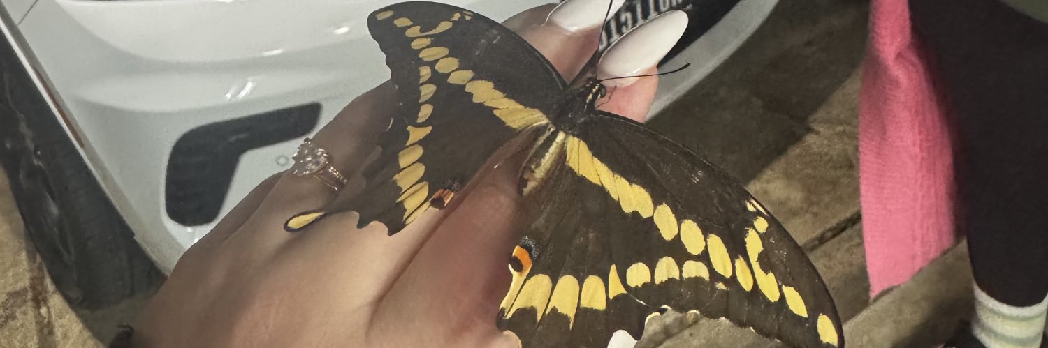 𝚃𝚊𝚢♡ banner