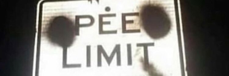 cicaguei's profile banner image