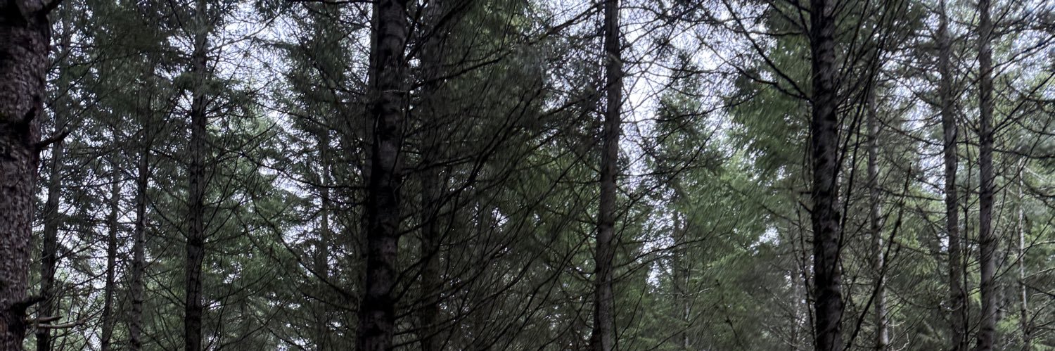 ziakedir's profile banner image