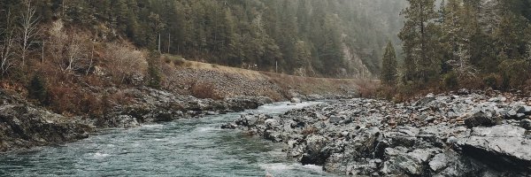 APADivision34 Profile Banner