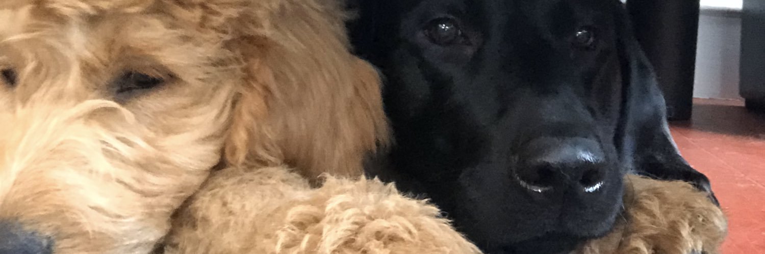 Ccros5's profile banner image