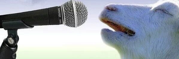 Ding dong aka Papa Dee's banner