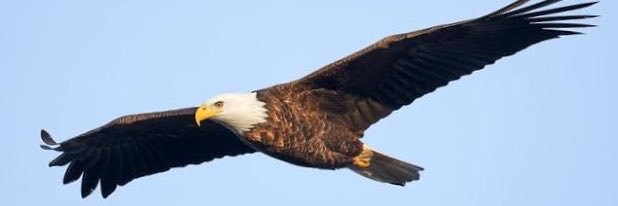 EAGLEzr's profile banner image