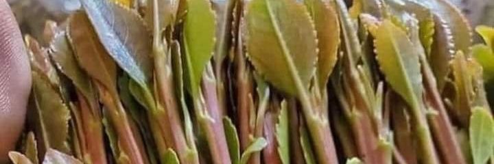 kkmmll__'s profile banner image