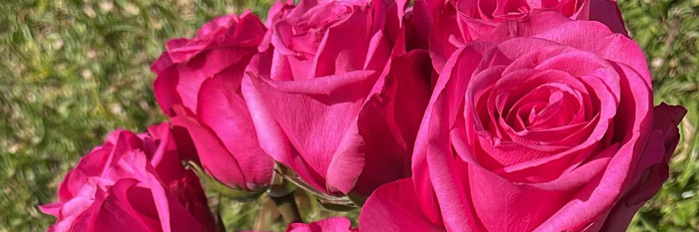 larresamilly's profile banner image