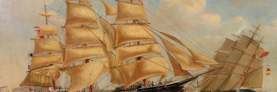 QuacoMuseum's profile banner image
