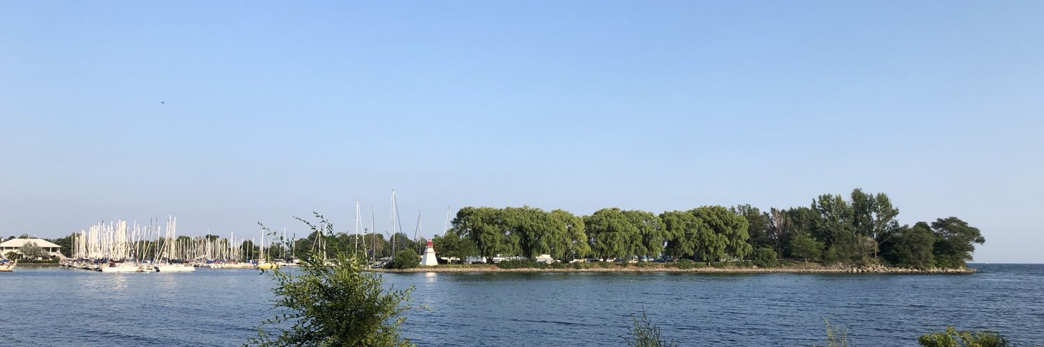 Rohan Naravane banner