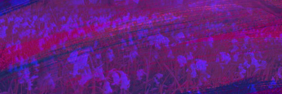 Resedant's profile banner image