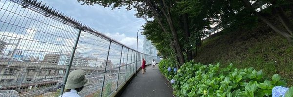 okaeri0 Profile Banner