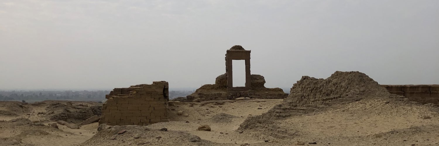 Dikla Taylor-Sheinman banner