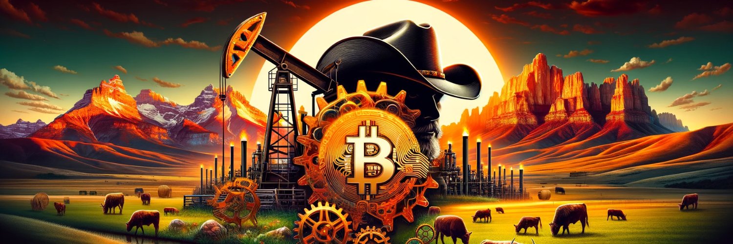 Bitcoin Rodeo '25 🥩's banner