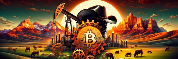 TheBitcoinRodeo Profile Banner