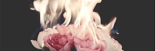 lawolf_'s profile banner image