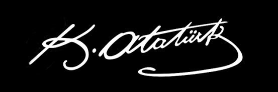 … banner