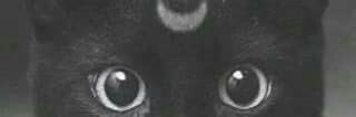 JessInk_1's profile banner image