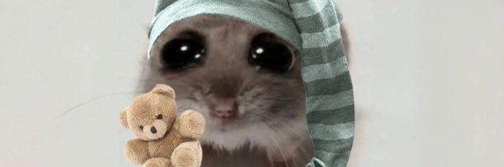 Dreamkub22's profile banner image