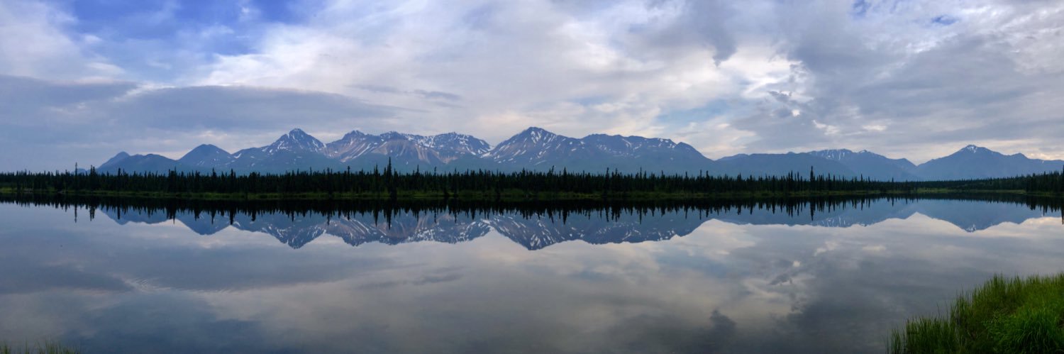 Andrew Hessel banner