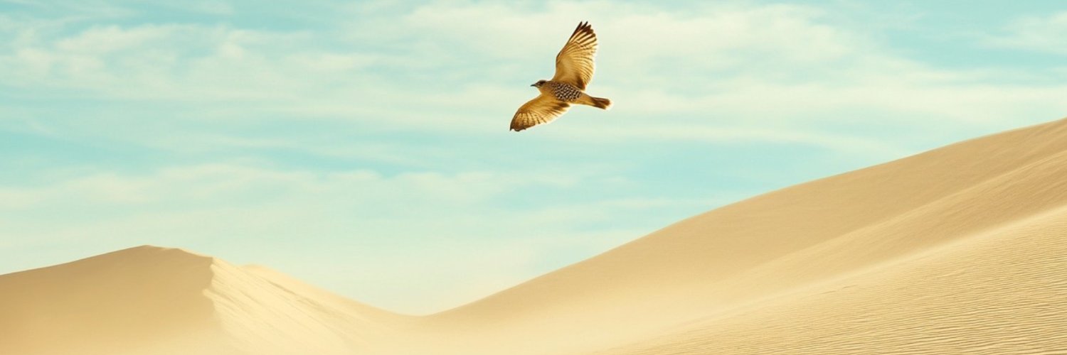 Luca8 banner