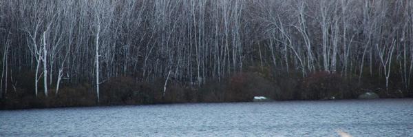 MarlBPatch Profile Banner