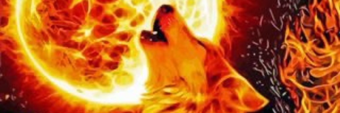 Fz.hiney.sol banner