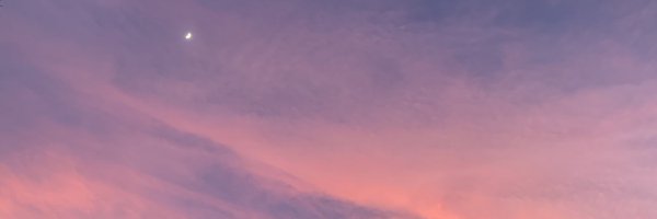 theRikipedia Profile Banner
