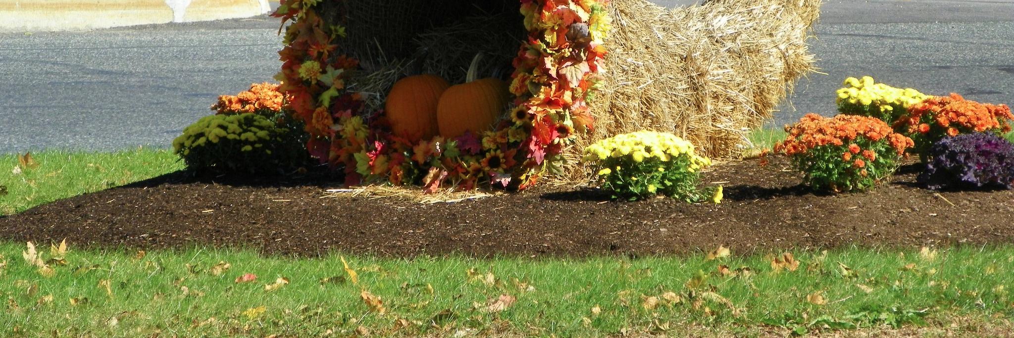 Grafton Patch banner