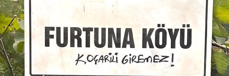 ceycey🥀 banner