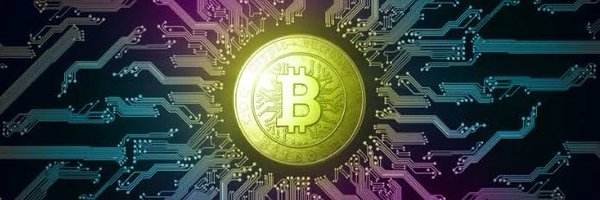 cryptocrusador1 Profile Banner