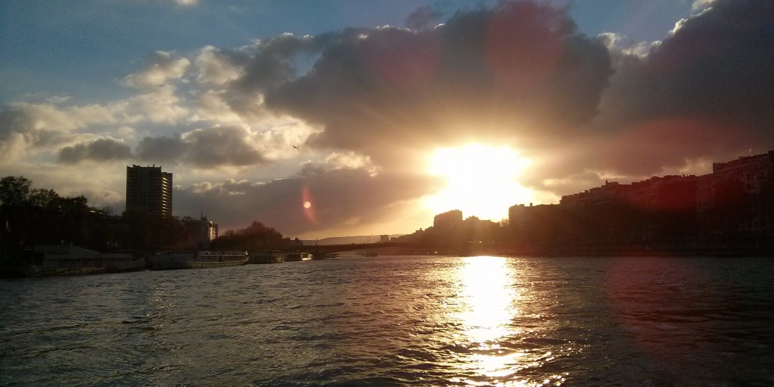 Laura_Pacchioni's profile banner image