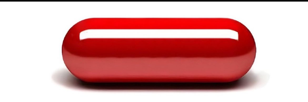 Cat on A Leash banner