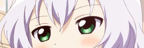 LUCHAVANDROSSS's profile banner image