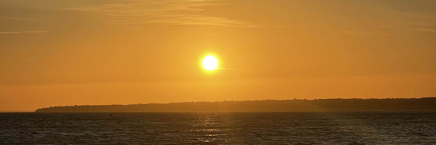 whoisfanta's profile banner image