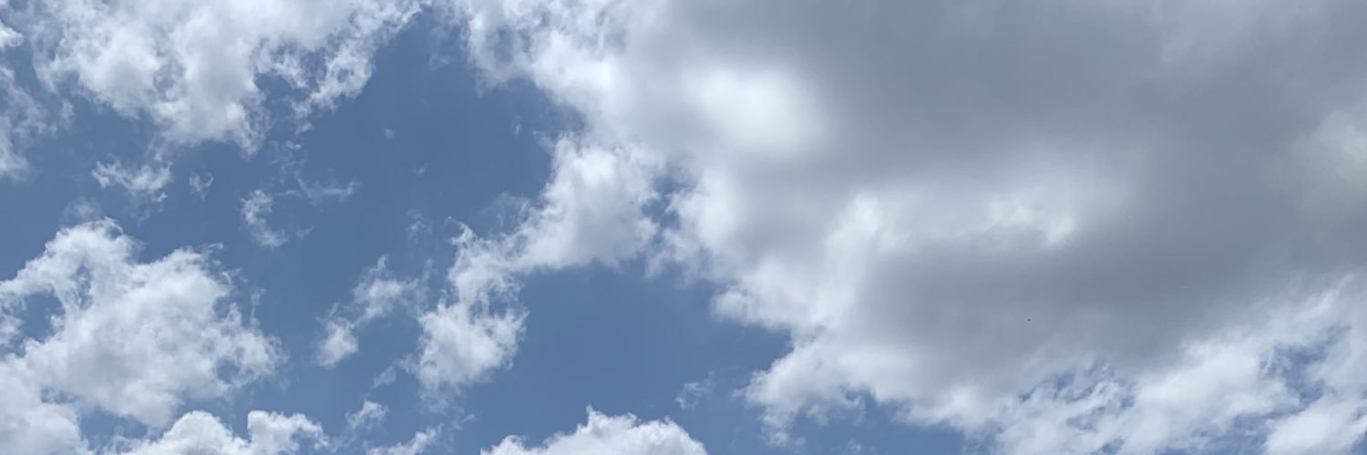 Mirandapandaa16's profile banner image