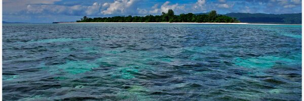 tinut Profile Banner