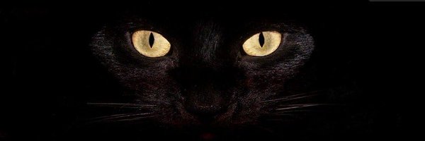 amdan_n_ldzayer Profile Banner