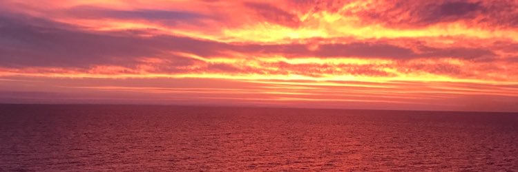 revryansutton's profile banner image