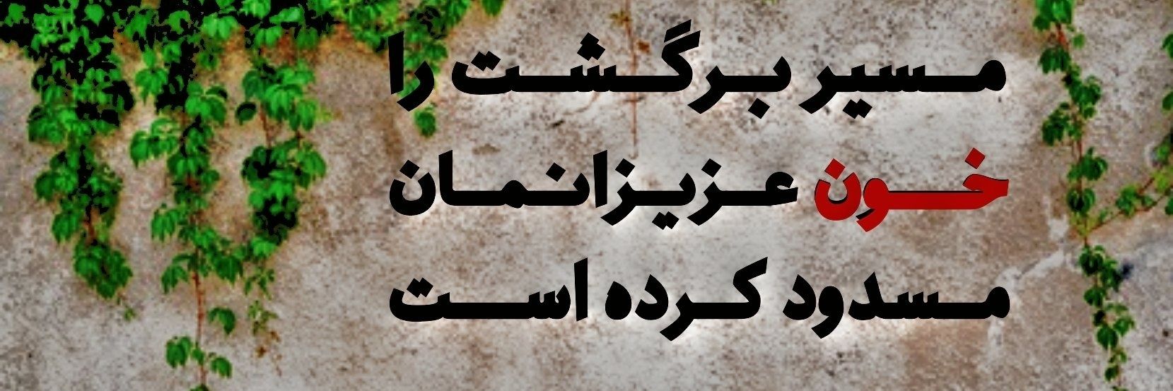 Dr. K ( Sasan)'s banner